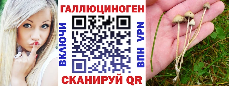 Галлюциногенные грибы мицелий  магазин  наркотиков  Заречный 